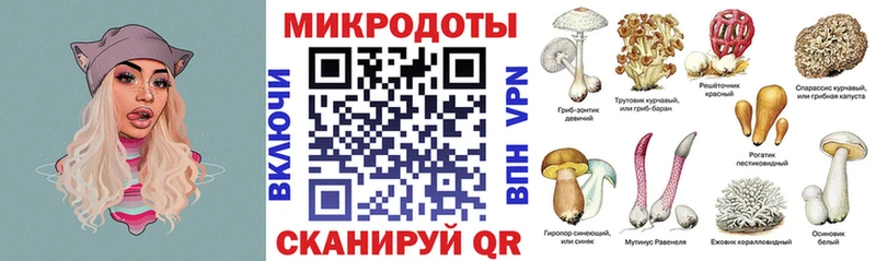 Галлюциногенные грибы Psilocybe Нестеровская